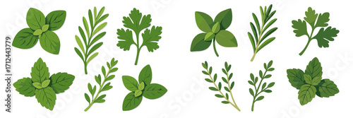 Fresh herbs displayed in various arrangements for cooking and garnishing meals at a modern kitchen setting