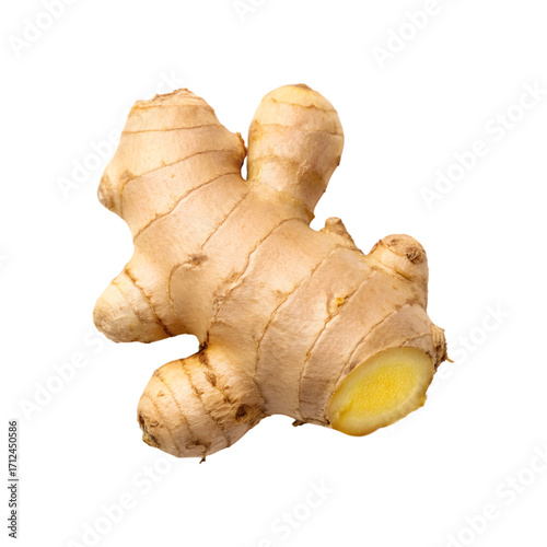 Close up of a fresh ginger root, showing its knobbly texture and pale yellow interior.