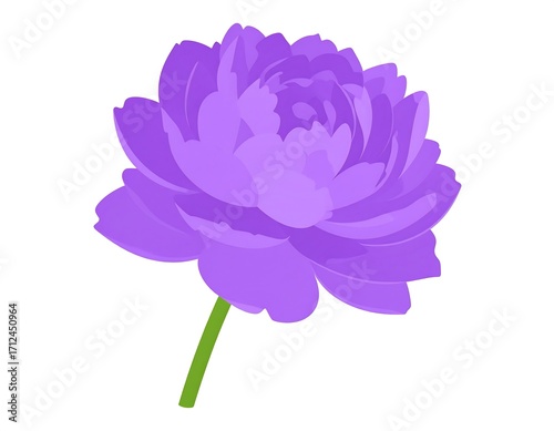 Purple flower illustration