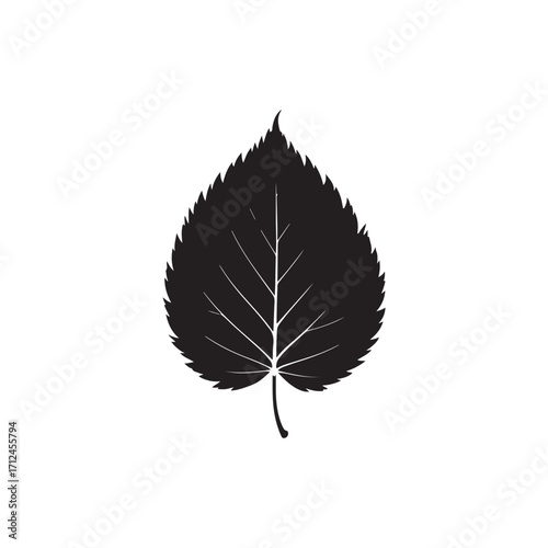 Alder Leaf Vector (2).eps