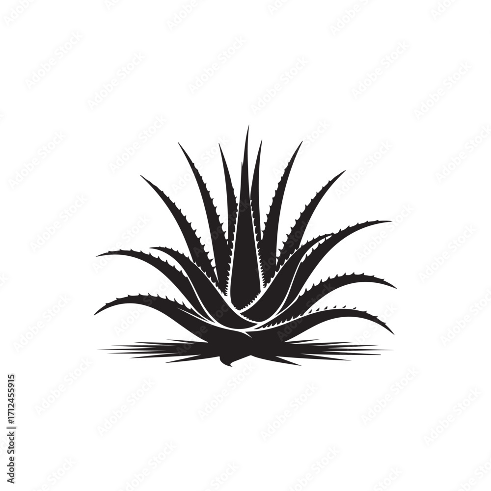 Fototapeta premium Aloe Vera Vector (3).eps