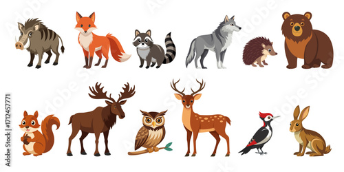 Wild forest animals cartoon set. Vector illustration of woodland creatures isolated on white background.