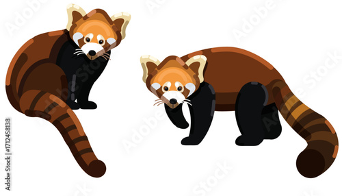 Wild weasel animal icons colorful cartoon sketch