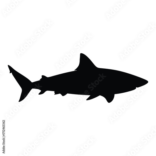Silhouetted shark aquatic marine predator ocean wildlife sea creature silhouette majestic marine animal silhouette