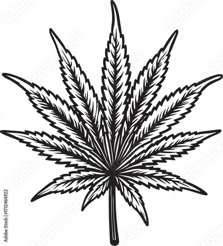 Marijuana Cannabis Leaf CBD THC Medical Weed Hemp Vector Illustration, Sketch Drawing Line Linear Symbol Icon Engraving, Hand-drawn Doodle Black and White Isolated
