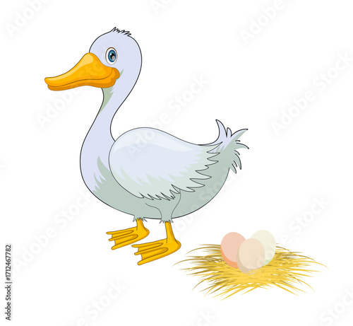 Duck poultry background icon colorful cartoon sketch