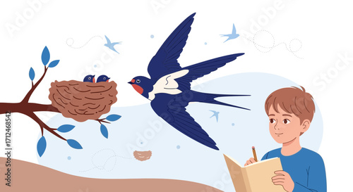 Child Observing Swallow Birds With Nest In Nature, Learning And Nature Art