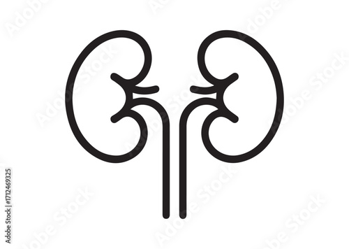 Kidney line art vector, Kidney Icon