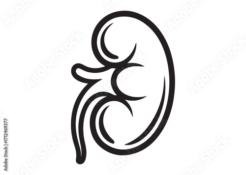 Kidney line art vector, Kidney Icon