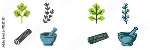 Variety of fresh herbs and spices with mortar and pestle on a plain background showcasing culinary essentials