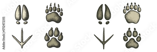 Engraved style collection of wild animal paw prints, hoof tracks, and bird claw marks for nature designs