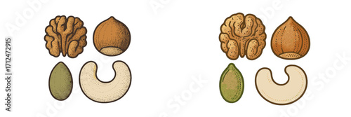 Nutritious assortment of healthy nuts and seeds, including walnut, hazelnut, pumpkin seed, and cashew, for a balanced diet
