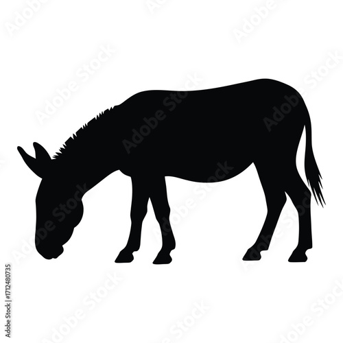 Silhouette of a donkey grazing a domesticated farm animal silhouette for design silhouette