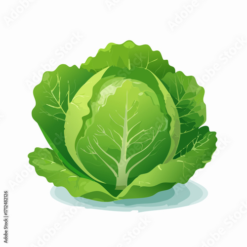 Kopfsalat