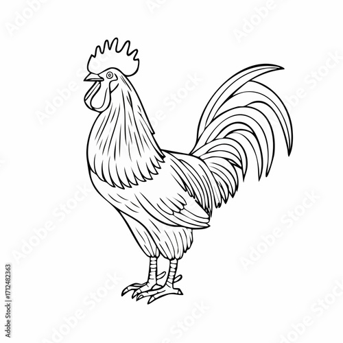 Line drawing of a rooster standing with its head turned to the left, showing its comb and tail feathers.