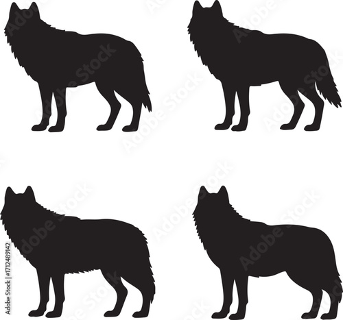 Set of wolf silhouettes on white background .