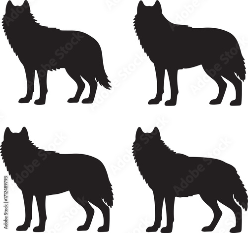 Set of wolf silhouettes on white background .