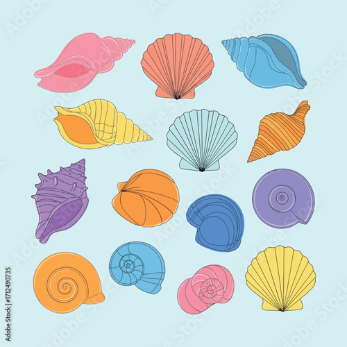 Beach shell assortments vector set illustrations