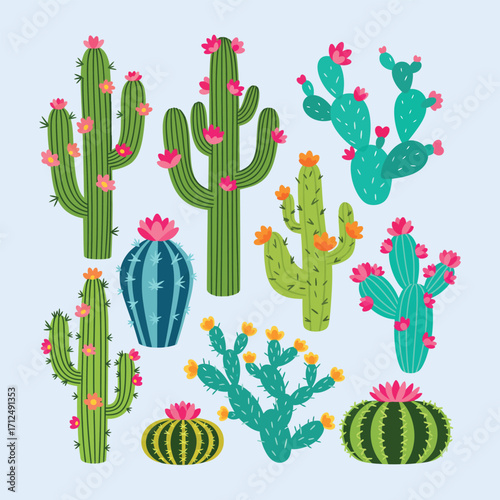Desert cactus collections set Vector