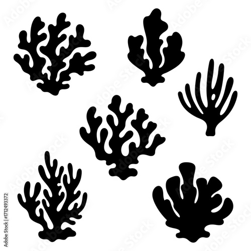 A varied set of black isolated coral and seaweed silhouettes. Icons of marine underwater plant life forms