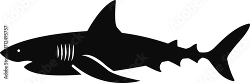 silhouette of a shark, vector illustration.