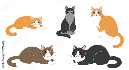 Five domestic cats of different colors and breeds gathered together.