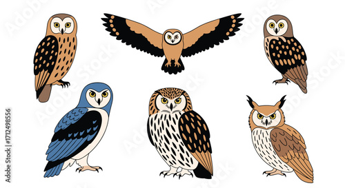 Diverse collection of owls showcasing different species and poses.
