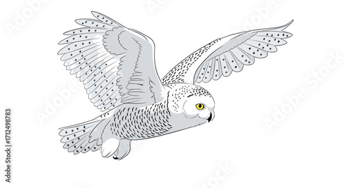A majestic snowy owl in mid-flight with its wings outstretched.