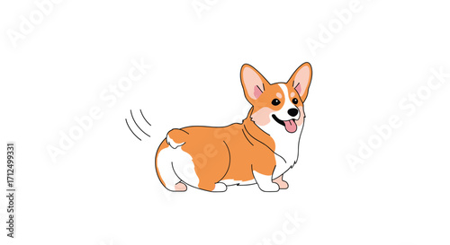 A happy corgi dog with a wagging tail is playing outside.