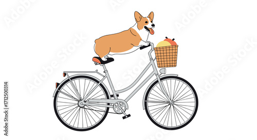 Cute corgi dog riding a bicycle in a park with a basket of fruit on the front.