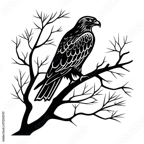 A wild black and white raptor with a sharp beak perches on a bare branch