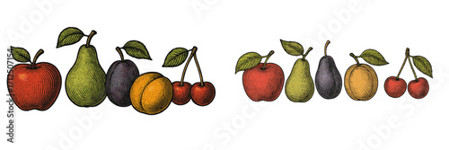 Colorful display of various fruits including apples, pears, cherries, and plums arranged in a vibrant illustration