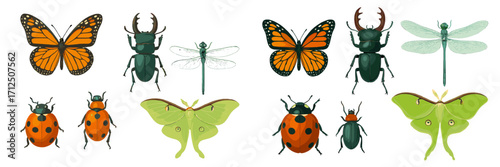 Colorful collection of illustrated insects in various styles and poses on a clean white background