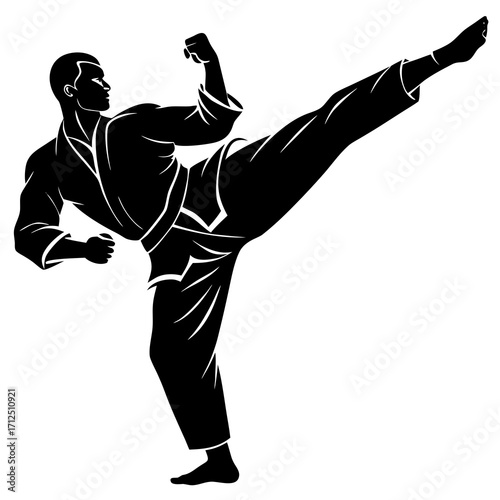 karate man silhouette.