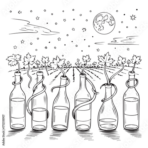vector illustration of a bottle