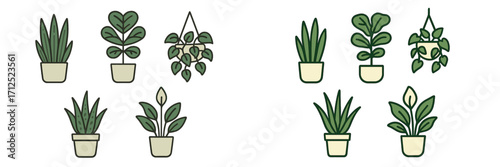 Stylized collection of popular potted houseplants and hanging indoor plants for home and office decor