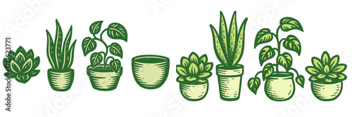 Collection of potted green houseplants with succulents and leafy plants alongside an empty ceramic pot