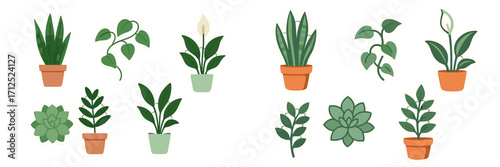 Collection of potted houseplants with snake plant, peace lily, and succulent for modern interior decoration