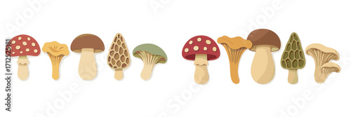 Diverse collection of wild forest mushrooms and edible fungi in decorative paper cut style on white background