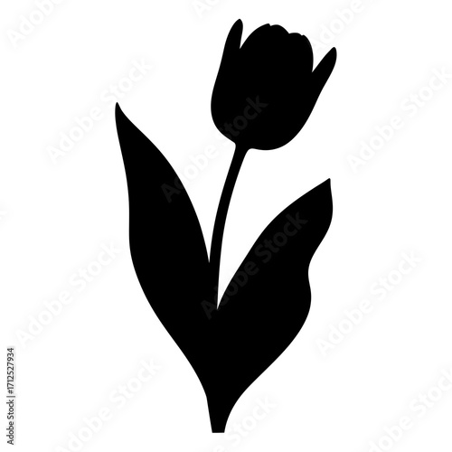 Black tulip silhouette isolated on white background