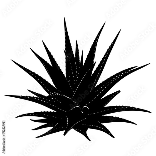 Black silhouette of an aloe vera plant isolated on white background