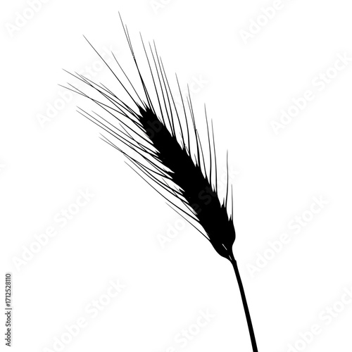 Black silhouette of a wheat stalk isolated on white background