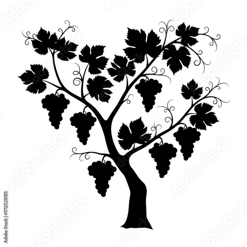 Grapevine tree with clusters of grapes silhouette isolated on white background