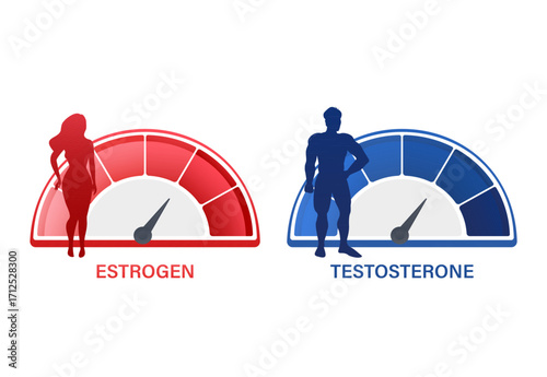 Estrogen and testosterone levels measuring with speedometer and human silhouettes