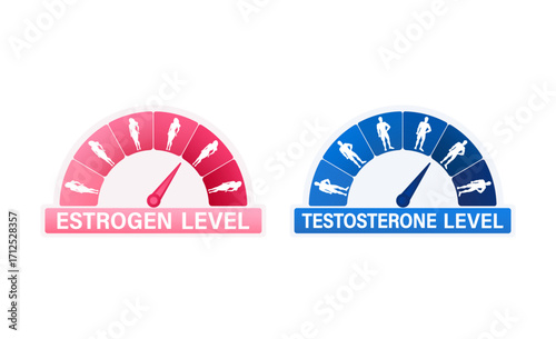 Indicator is showing estrogen and testosterone level increasing and decreasing
