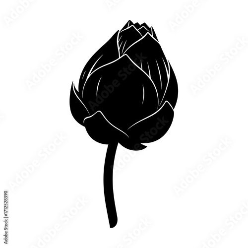 Black lotus flower bud silhouette isolated on white background