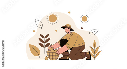 Farmer Harvesting Apples Under The Summer Sun As Part Of The Yearly Orchard Cycle