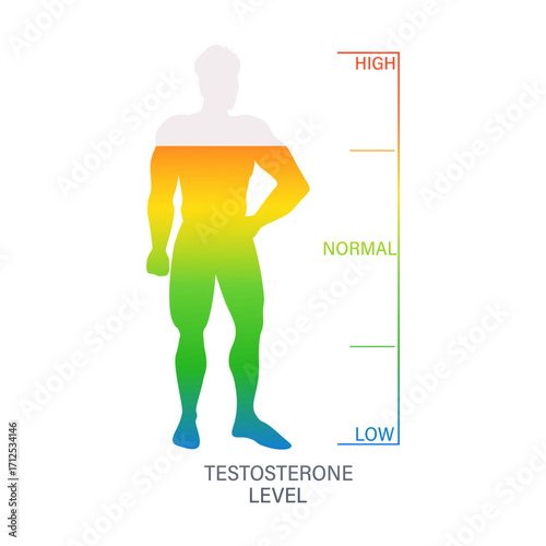 Male body silhouette showing testosterone level from low to high