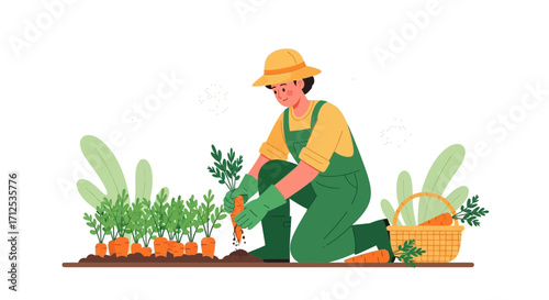 Gardener Harvesting Delicious Carrots From His Farm, Agriculture and Healthy Lifestyle