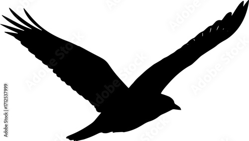 Animal icon  wild pet and birds icon logo design black icons